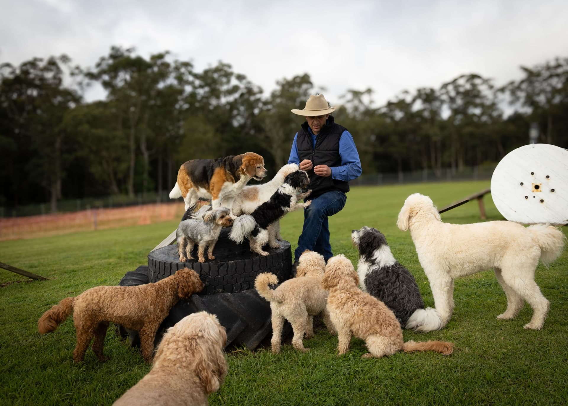 Dylan Resnekov surrounded by dogs on the FARMTASTIC farm